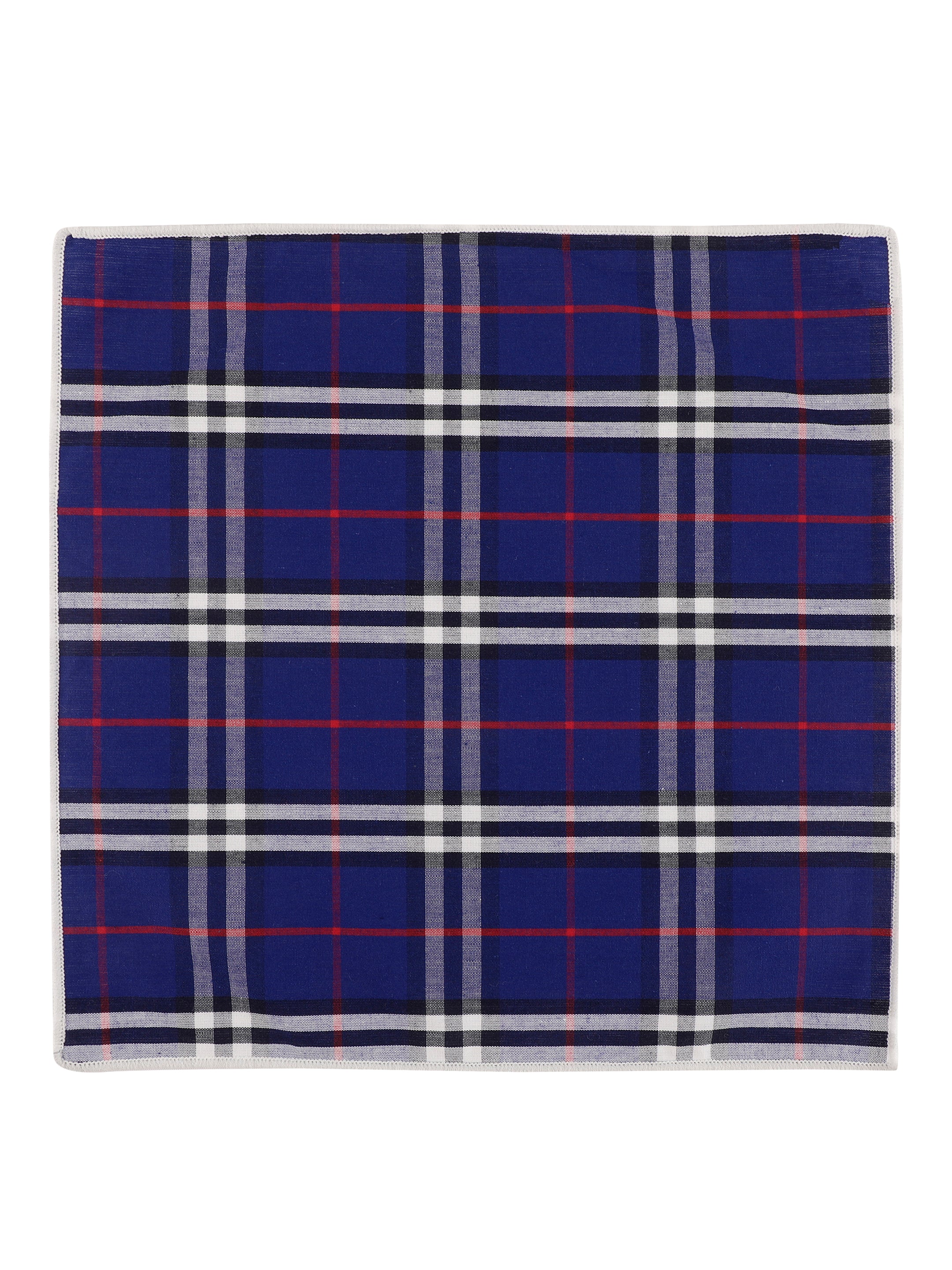 Alvaro Castagnino Blue & Multi Colored Microfiber Pocket Square for Men