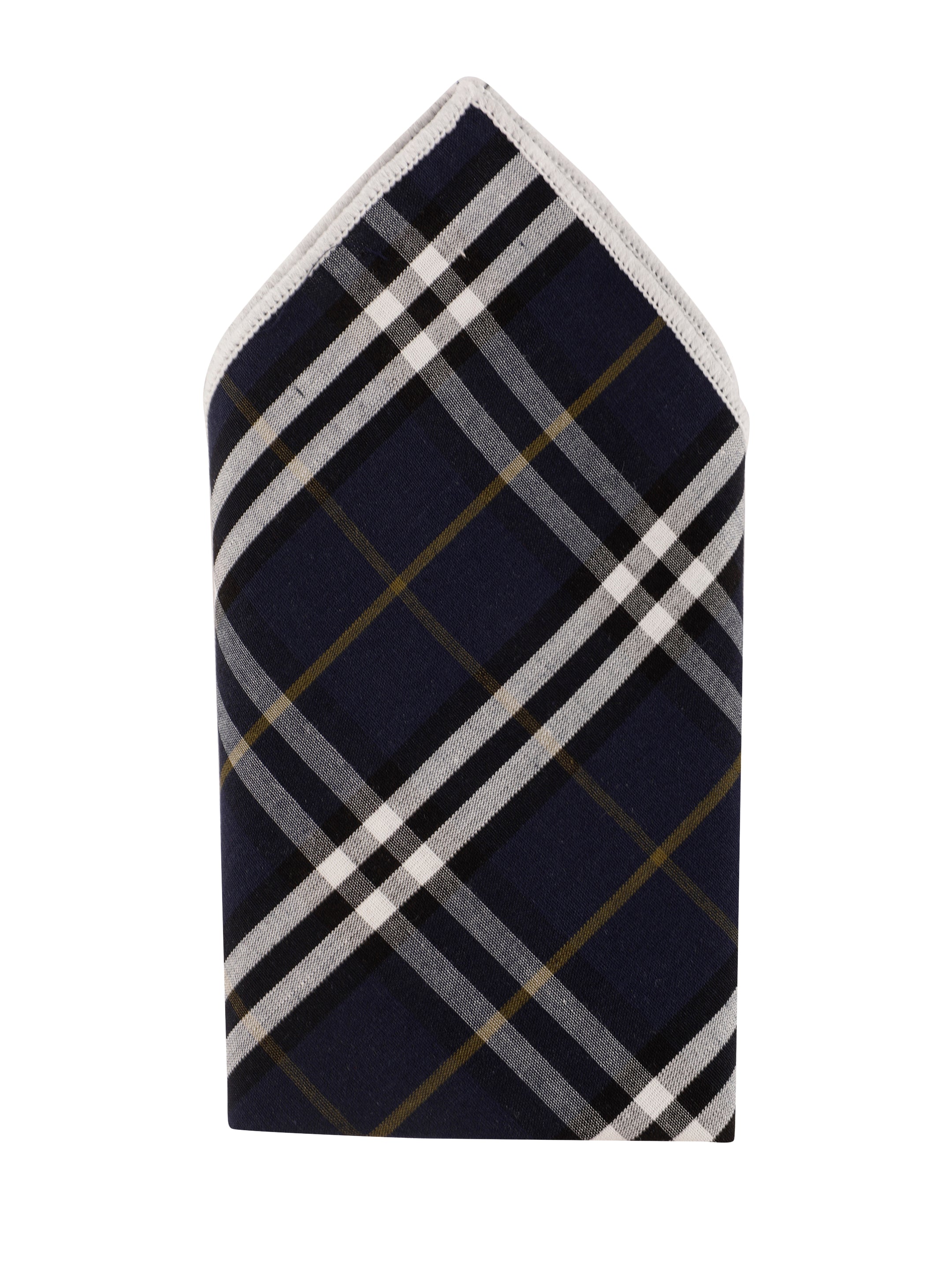 Alvaro Castagnino Blue & Multi Colored Microfiber Pocket Square for Men