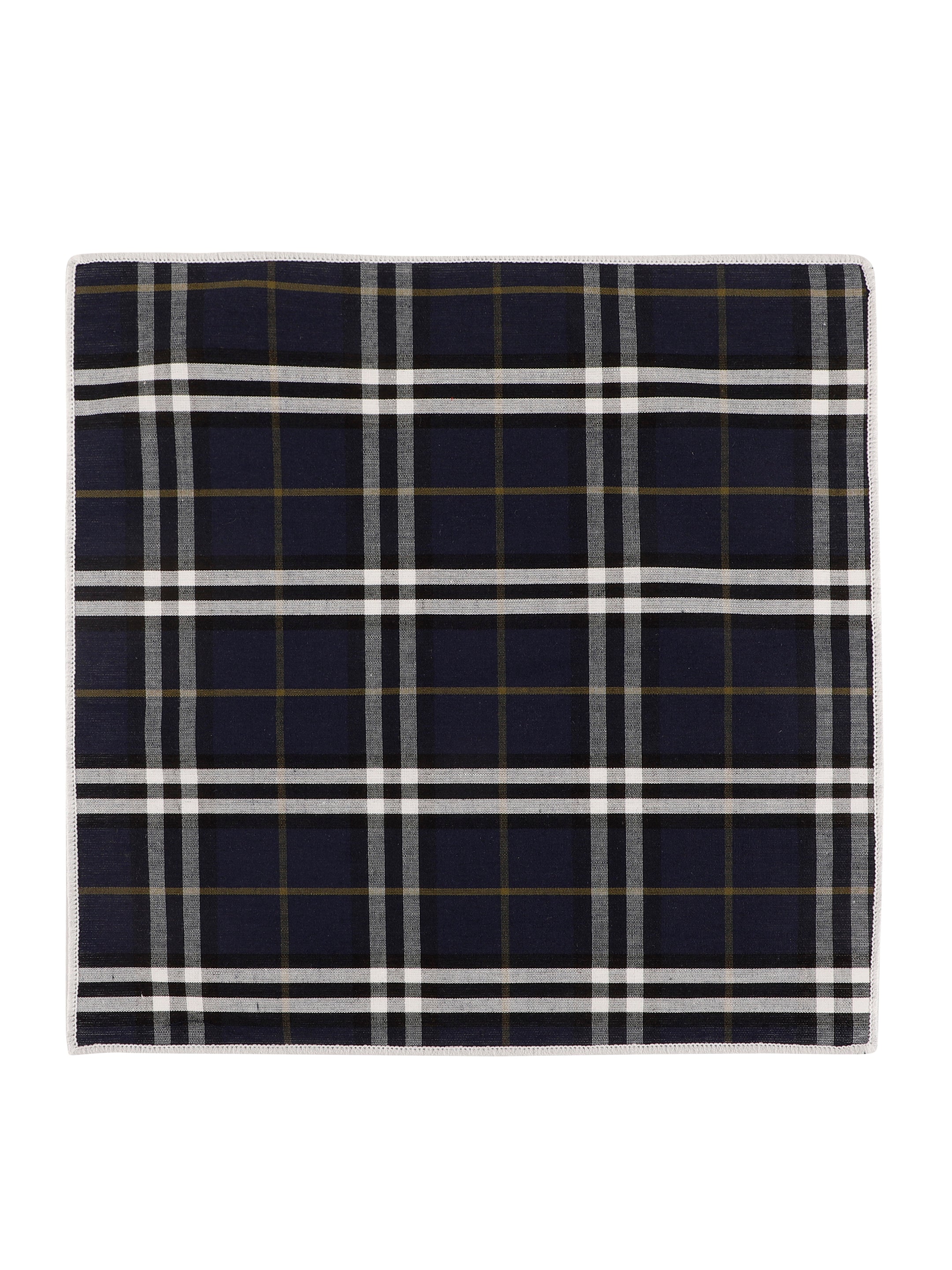 Alvaro Castagnino Blue & Multi Colored Microfiber Pocket Square for Men