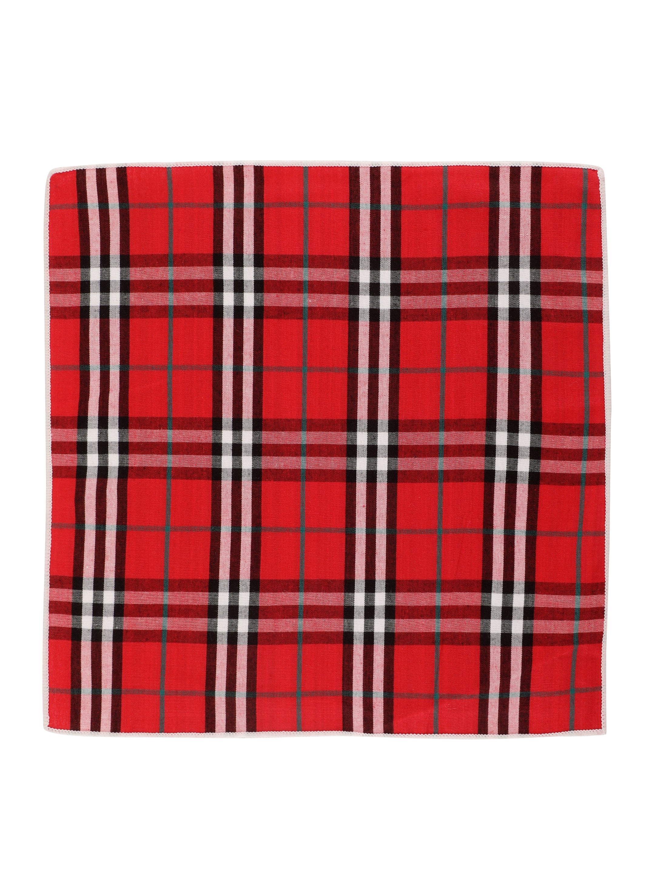 Alvaro Castagnino Red & Multi Colored Microfiber Pocket Square for Men