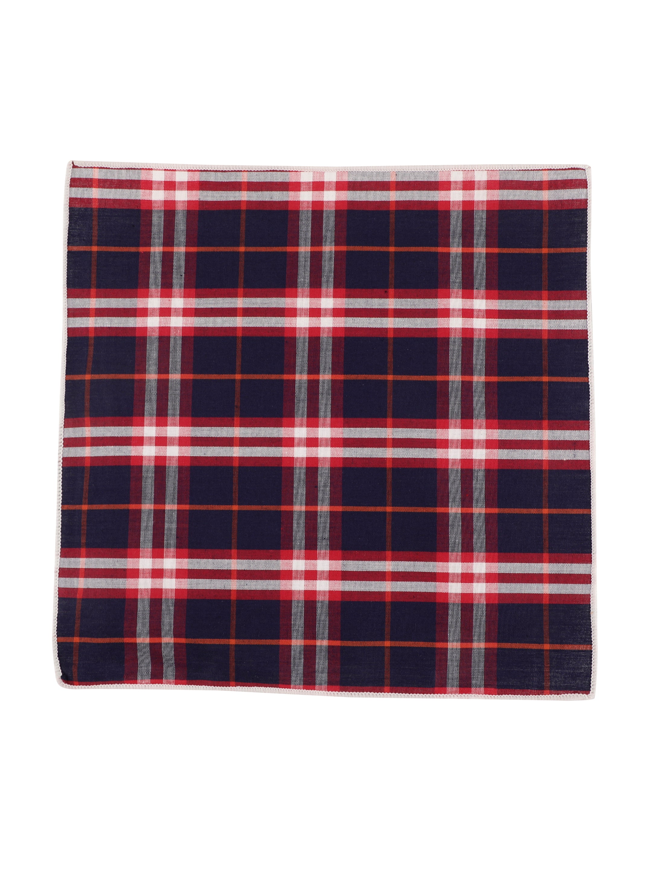 Alvaro Castagnino Blue & Multi Colored Microfiber Pocket Square for Men