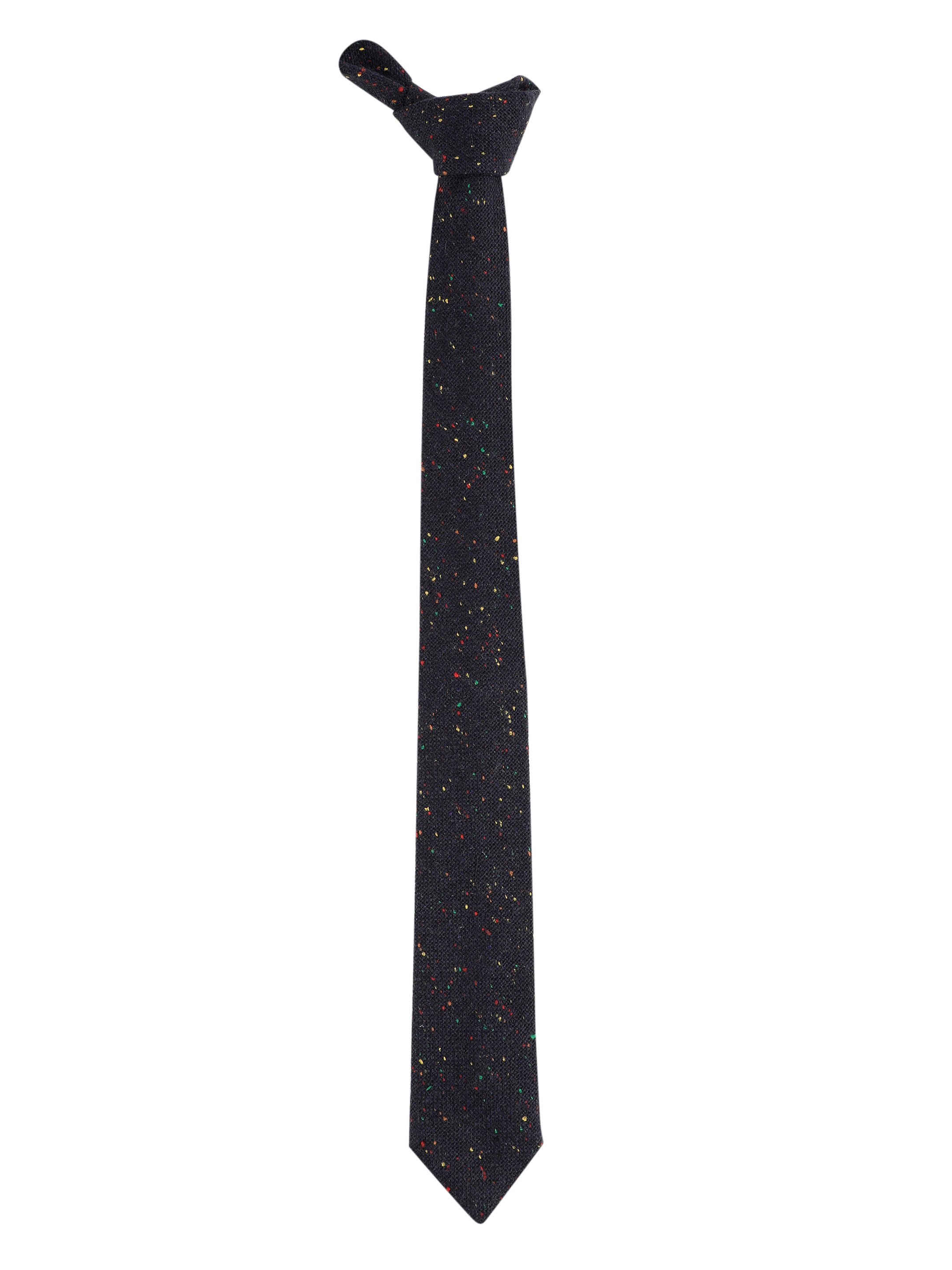 Alvaro Castagnino Blue & Multi Coloured Cotton Necktie for Men
