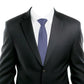 Alvaro Castagnino Blue Coloured Microfiber Necktie for Men