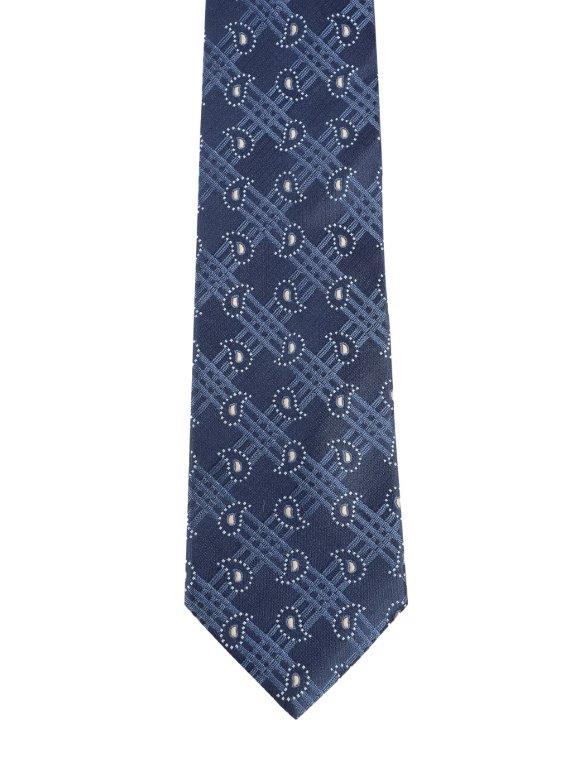 Alvaro Castagnino Blue & White Coloured Microfiber Necktie for Men