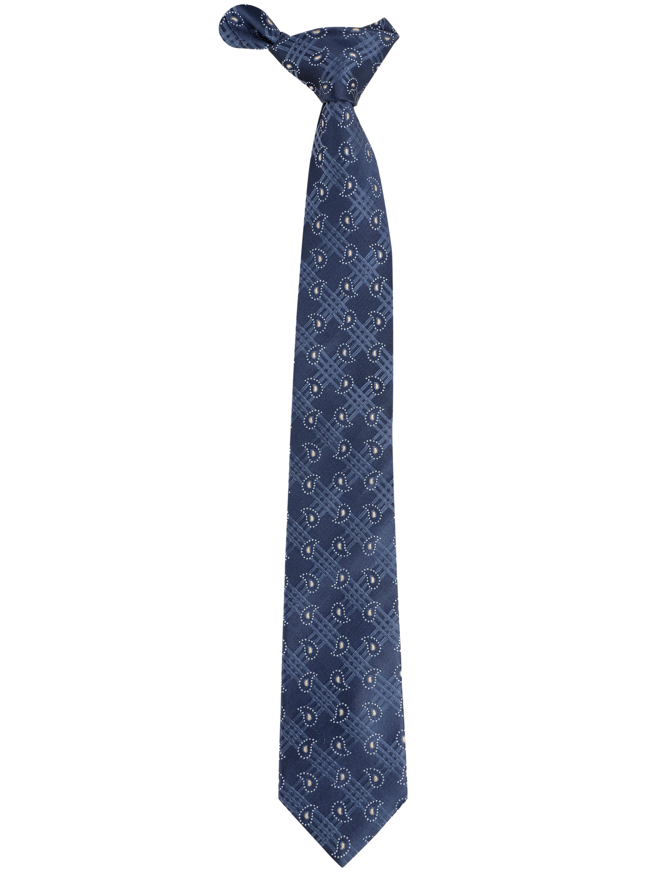 Alvaro Castagnino Blue & White Coloured Microfiber Necktie for Men
