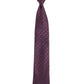 Alvaro Castagnino Purple & Black Coloured Microfiber Necktie for Men