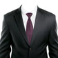 Alvaro Castagnino Purple & Black Coloured Microfiber Necktie for Men