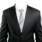 Alvaro Castagnino Grey Coloured Microfiber Necktie for Men