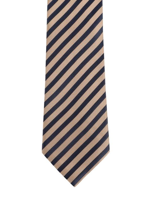 Alvaro Castagnino Beige & Blue Coloured Microfiber Necktie for Men