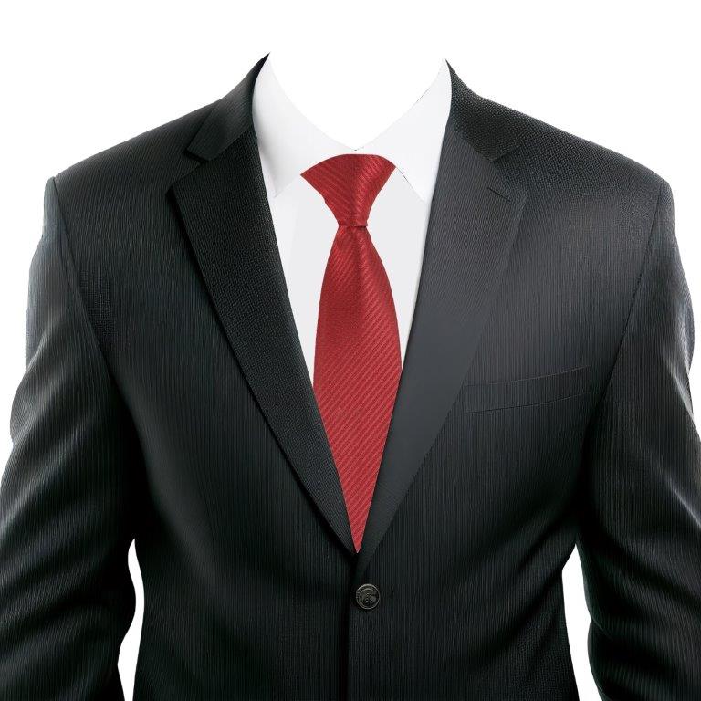 Alvaro Castagnino Red Coloured Microfiber Necktie for Men