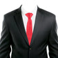 Alvaro Castagnino Red Coloured Silk Necktie for Men