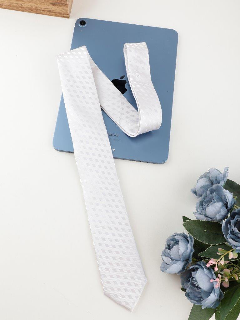 Alvaro Castagnino White Coloured Silk Necktie for Men