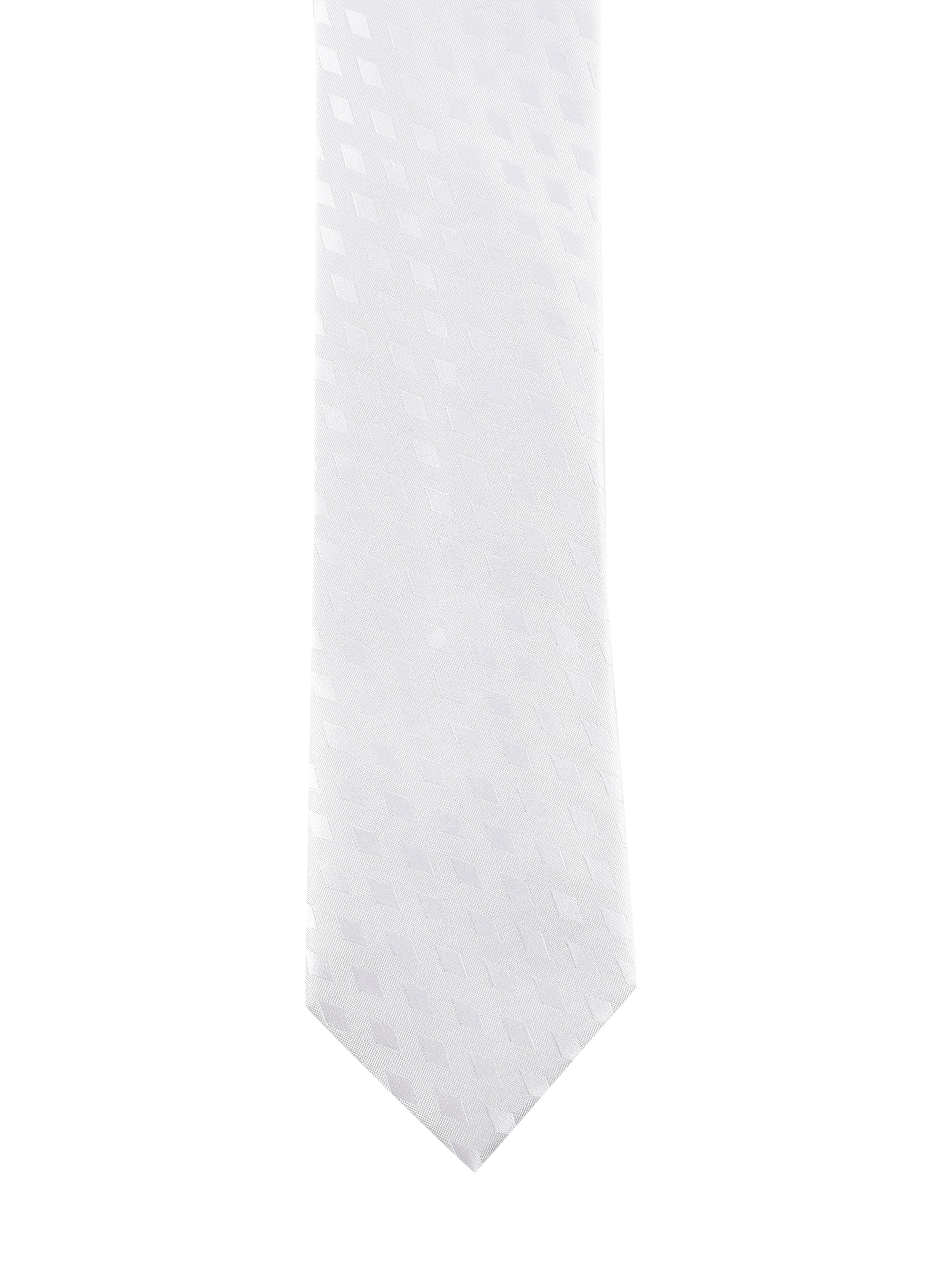 Alvaro Castagnino White Coloured Silk Necktie for Men