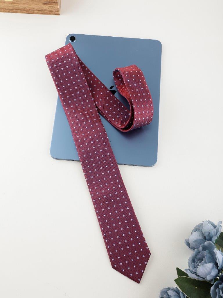 Alvaro Castagnino Rose & Blue Coloured Silk Necktie for Men