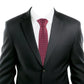 Alvaro Castagnino Rose & Blue Coloured Silk Necktie for Men