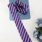 Alvaro Castagnino Purple Coloured Silk Necktie for Men