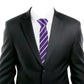 Alvaro Castagnino Purple Coloured Silk Necktie for Men