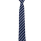 Alvaro Castagnino Blue & White Coloured Printed Skinny Tie