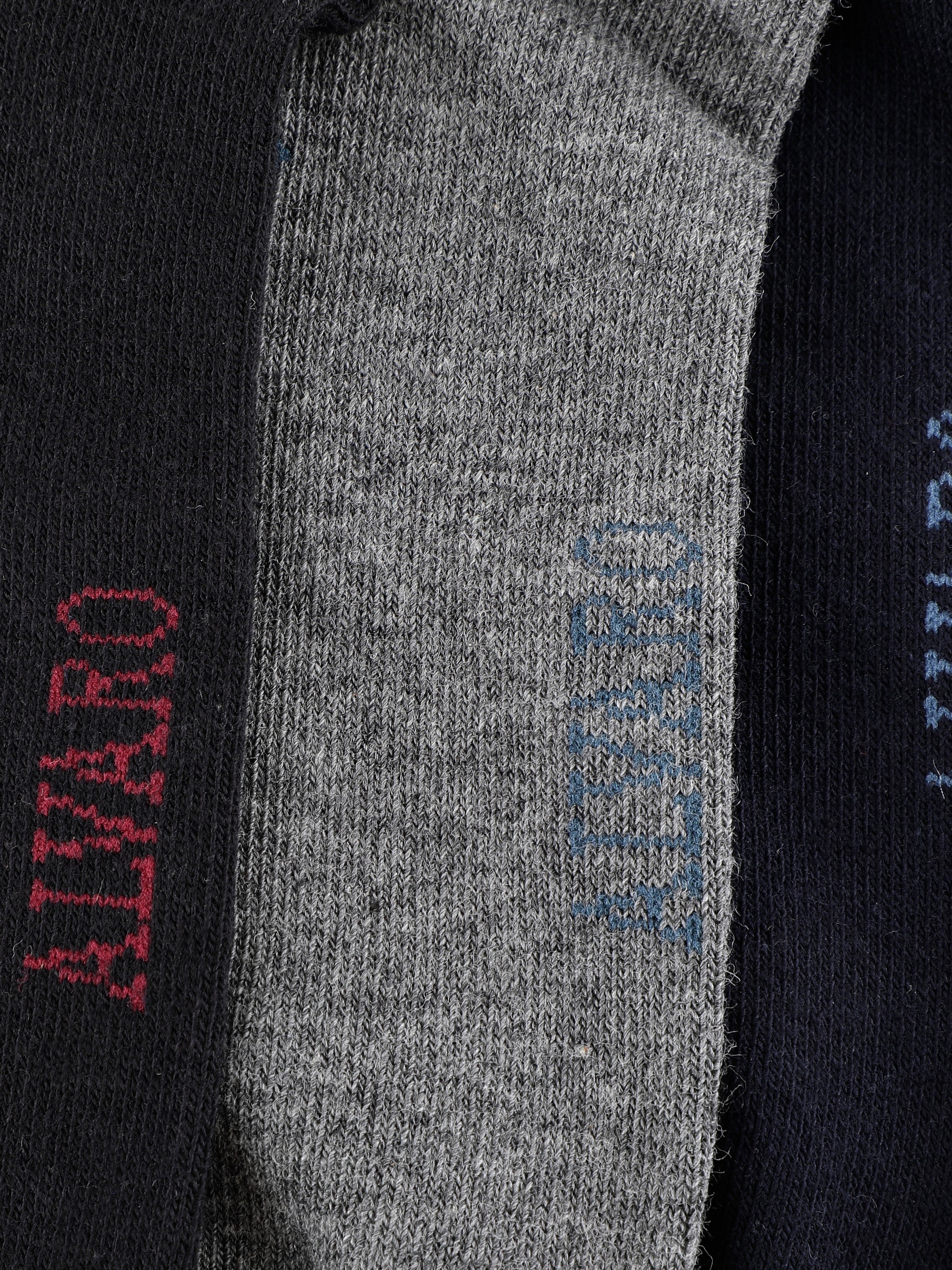 Alvaro Castagnino Men Black Grey & Blue Coloured Ankle-Length Socks