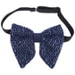 Alvaro Castagnino Men Blue Embellished Butterfly Bow Tie