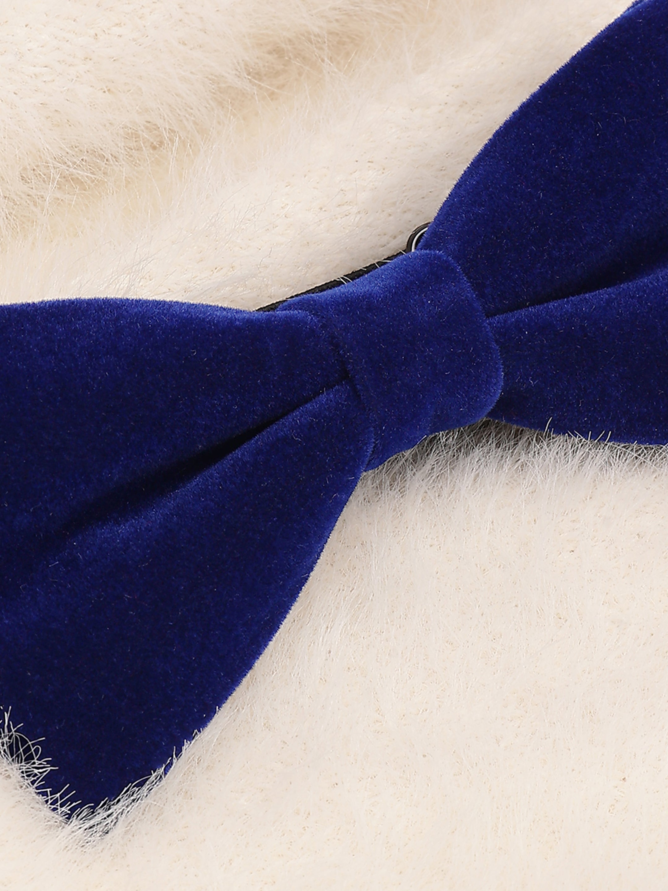 Royal Blue Velvet Bow Tie