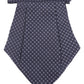 Alvaro Castagnino Men Blue & White Printed Cravat