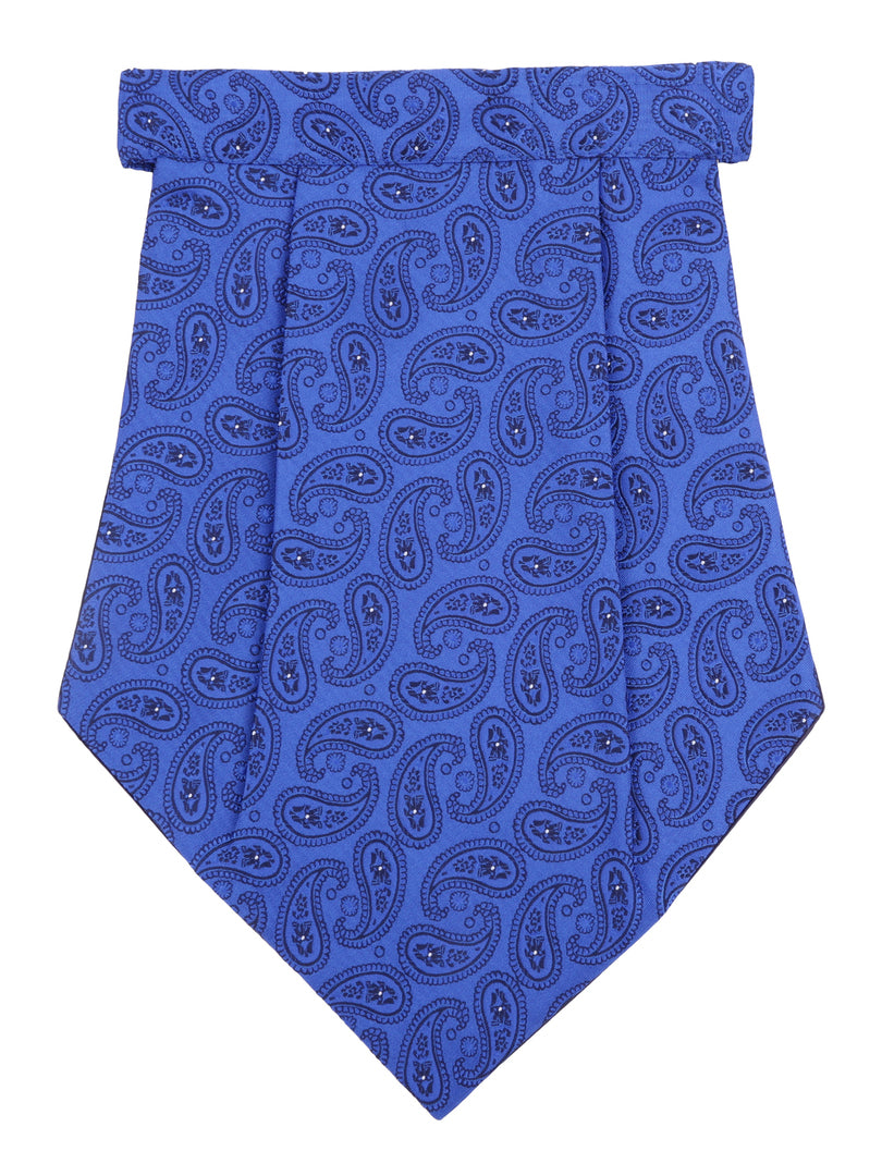 Alvaro Castagnino Men Blue Printed Cravat