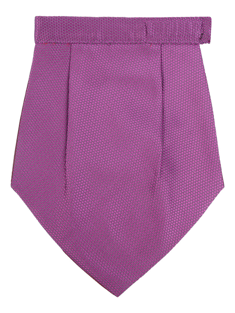 Alvaro Castagnino Men Purple Solid cravat