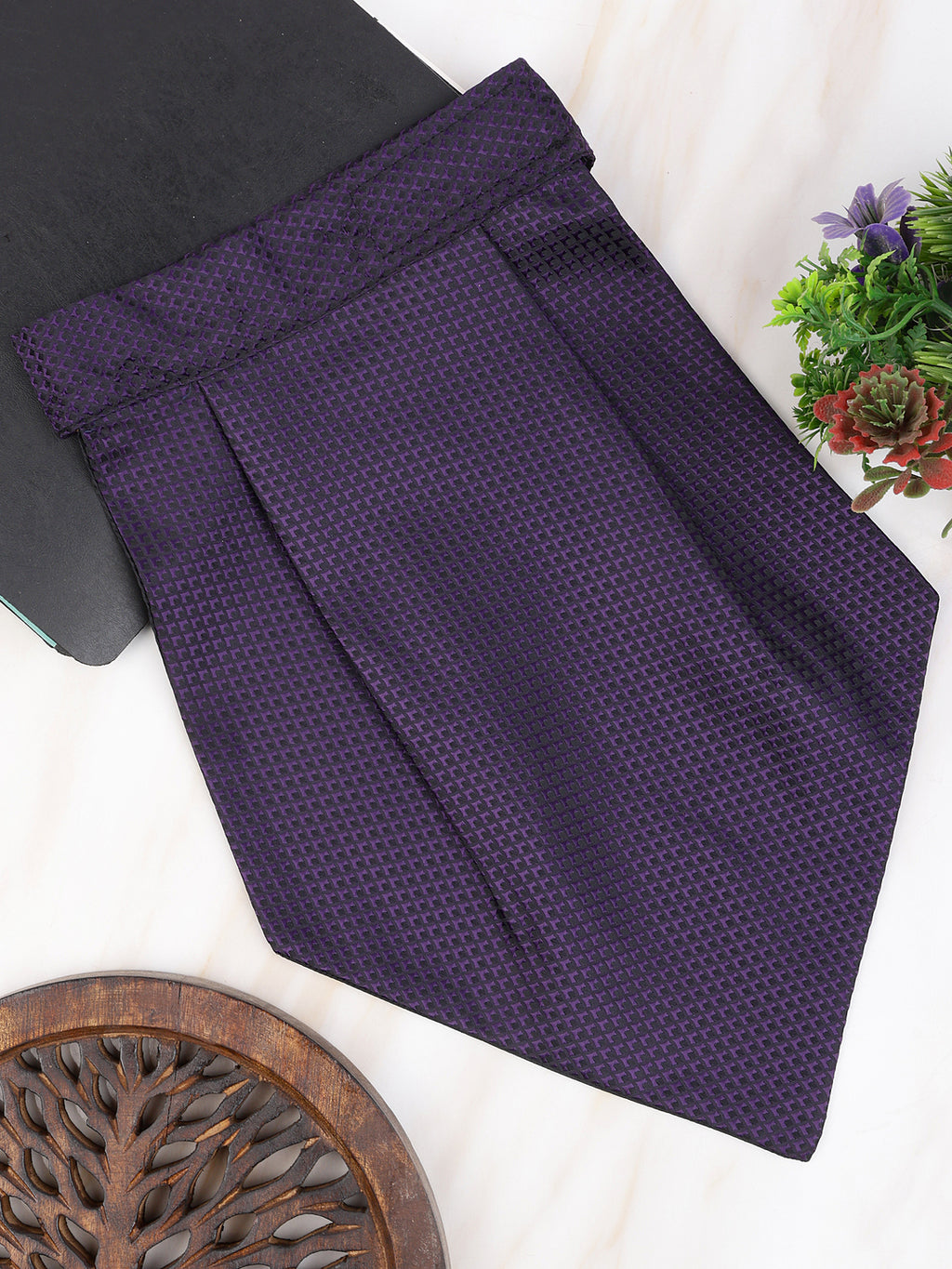 Alvaro Castagnino Men Purple Solid Cravat