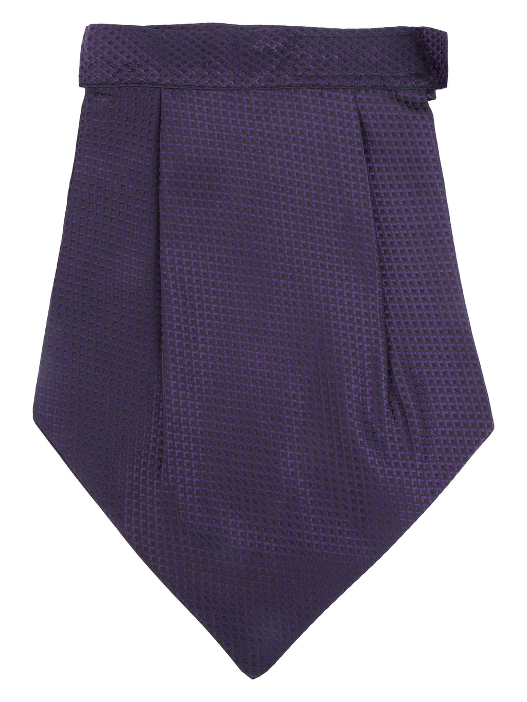 Alvaro Castagnino Men Purple Solid Cravat