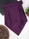 Alvaro Castagnino Men Purple Solid Cravat