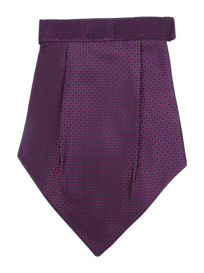 Alvaro Castagnino Men Purple Solid Cravat
