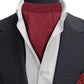 Alvaro Castagnino Men Maroon Solid Cravat