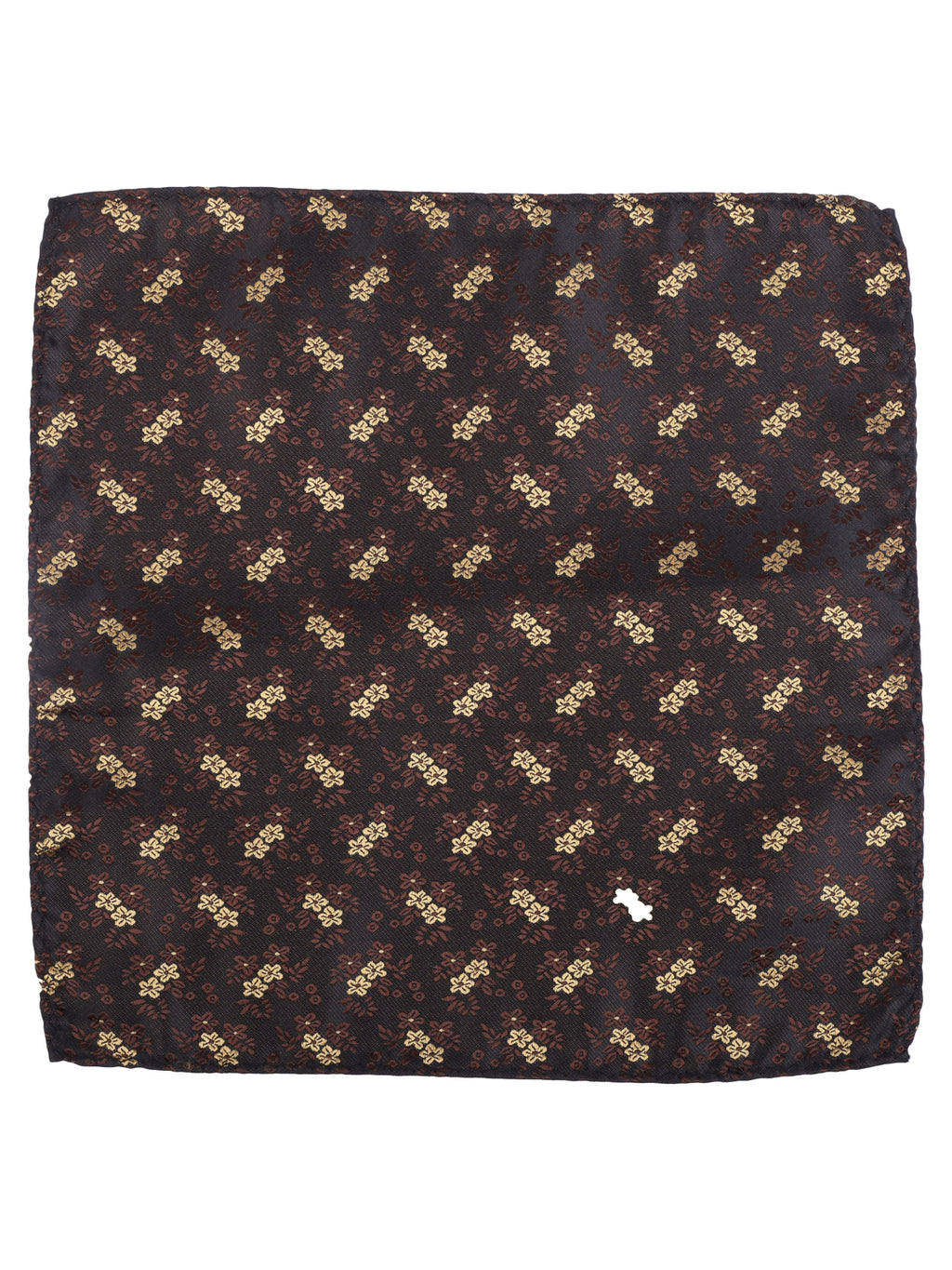 Alvaro Castagnino Men Brown Printed Cravat Hanky