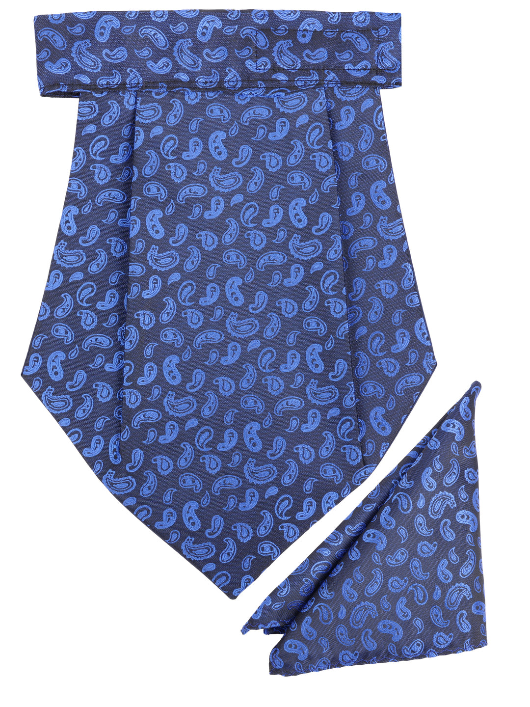 Alvaro Castagnino Men Blue Printed Cravat Hanky