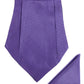 Alvaro Castagnino Men Purple Printed Cravat Hanky