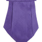 Alvaro Castagnino Men Purple Printed Cravat Hanky