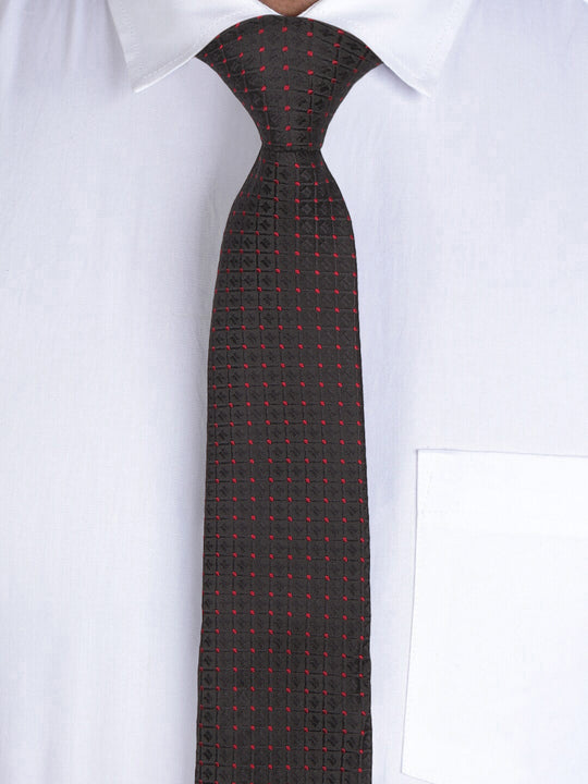 Alvaro Castagnino Black & Maroon Coloured Necktie for Men