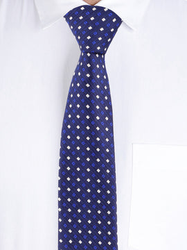 Alvaro Castagnino Blue & White Coloured Necktie for Men