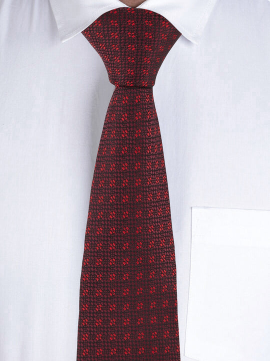 Alvaro Castagnino Maroon Coloured Necktie for Men