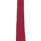 Alvaro Castagnino Red & Blue Coloured Necktie for Men