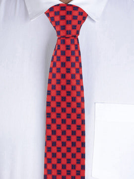 Alvaro Castagnino Red & Blue Coloured Necktie for Men