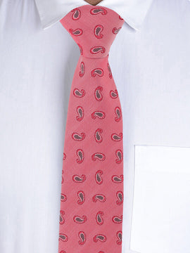 Alvaro Castagnino Rust Coloured Necktie for Men