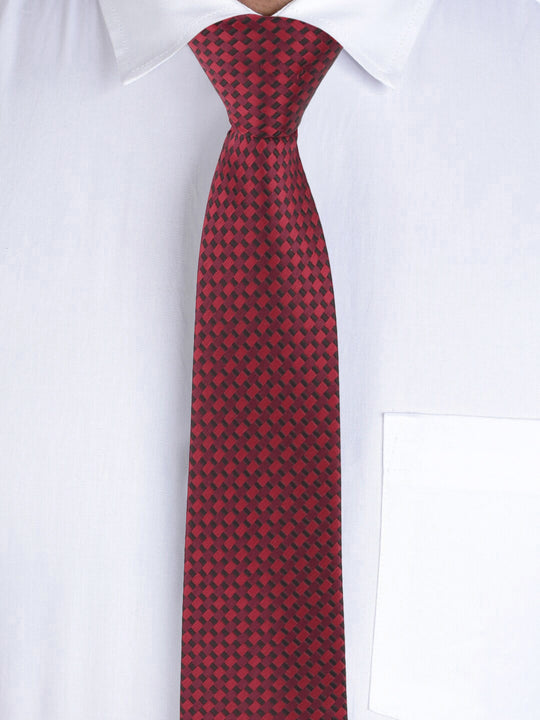 Alvaro Castagnino Maroon Coloured Necktie for Men