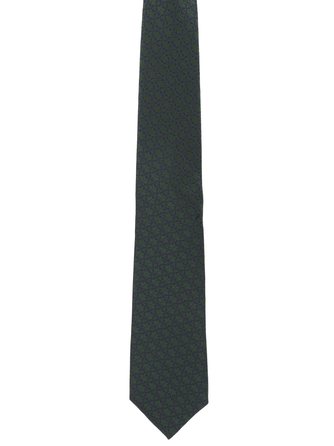 Alvaro Castagnino Green Coloured Necktie for Men