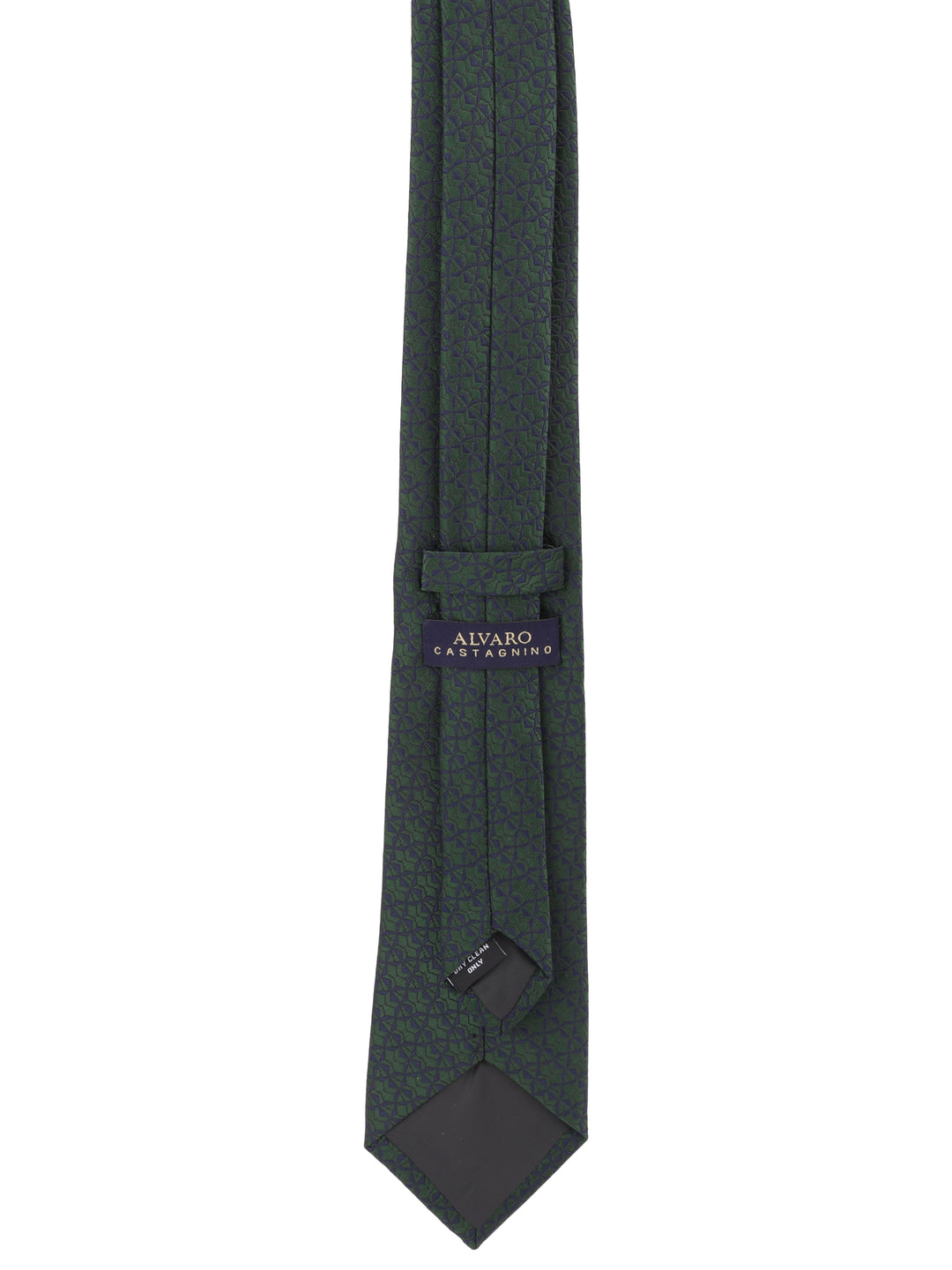 Alvaro Castagnino Green Coloured Necktie for Men