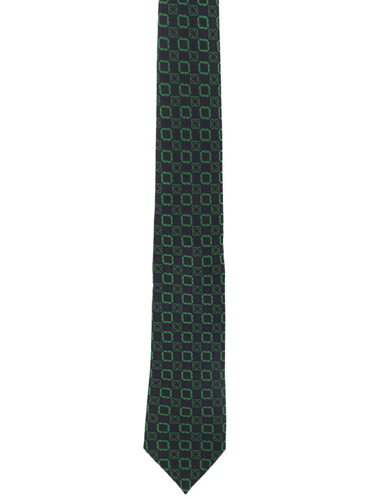 Alvaro Castagnino Green Coloured Necktie for Men