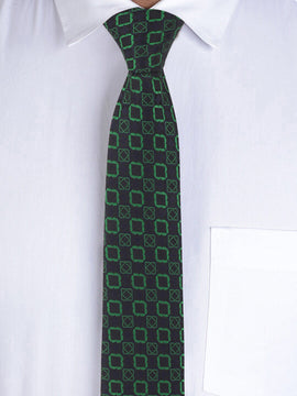 Alvaro Castagnino Green Coloured Necktie for Men
