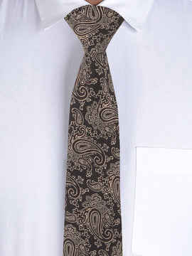 Alvaro Castagnino Brown Coloured Necktie for Men