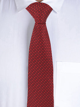 Alvaro Castagnino Maroon Coloured Necktie for Men